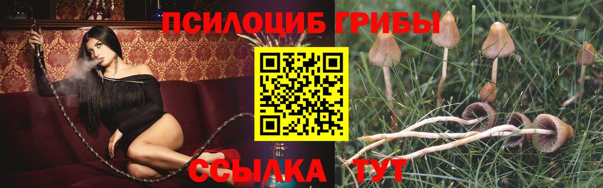 Пугачёв  Псилоцибиновые грибы ЛСД  Вход с VPN 