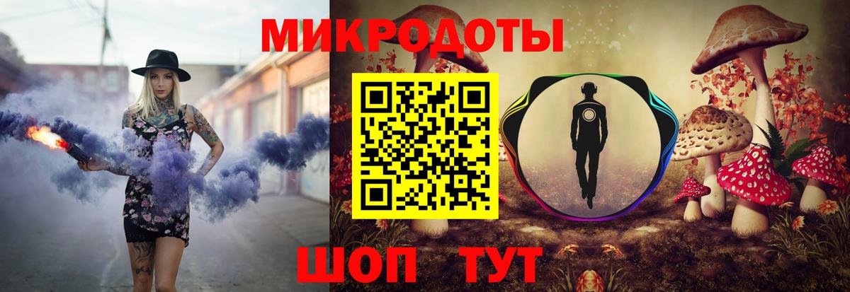 Псилоцибиновые грибы мицелий Пугачёв
